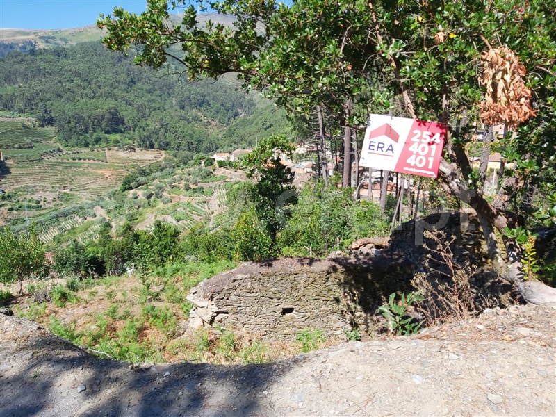 Terreno  Peso da Régua, Moura Morta e Vinhós - 1109111 - 2