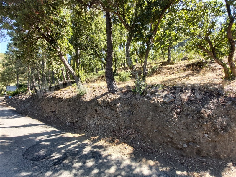 Terreno  Peso da Régua, Moura Morta e Vinhós - 1109111 - 3