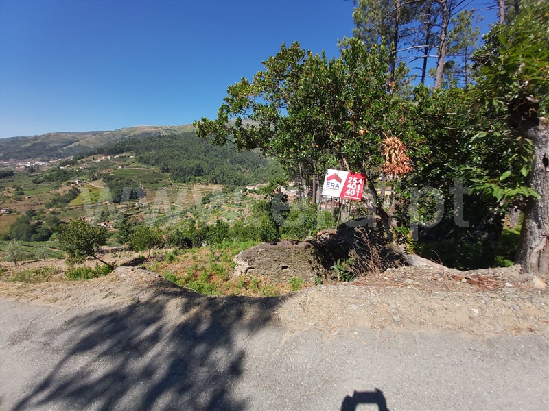 Terreno / Peso da Régua, Moura Morta e Vinhós