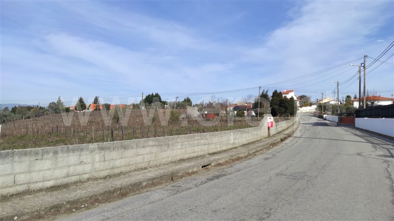 Terreno  Peso da Régua, Poiares e Canelas - 1097313 - 3