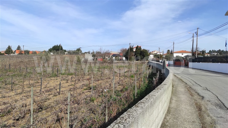 Terreno  Peso da Régua, Poiares e Canelas - 1097313 - 4
