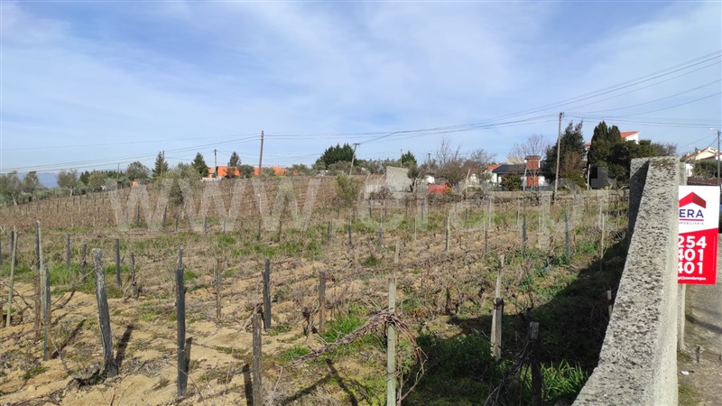 Terreno  Peso da Régua, Poiares e Canelas - 1097313 - 6