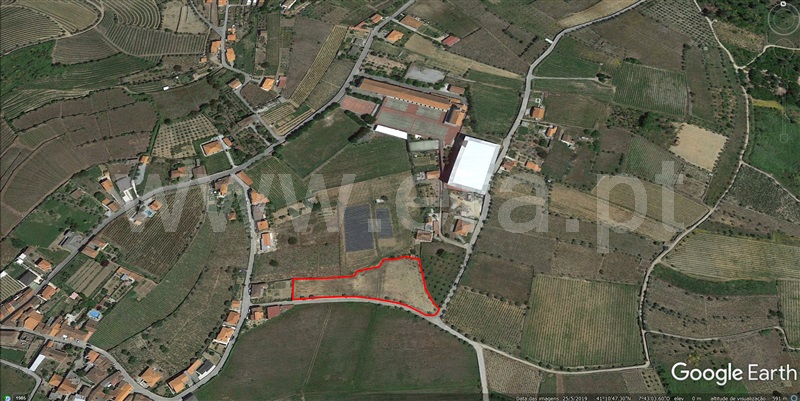 Terreno / Peso da Régua, Poiares e Canelas