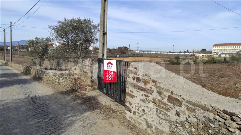 Terreno  com Agrícola Peso da Régua, Poiares e Canelas - 1226496 - 2