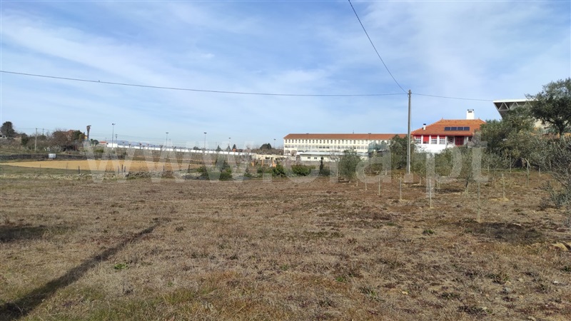 Terreno  com Agrícola Peso da Régua, Poiares e Canelas - 1226496 - 4