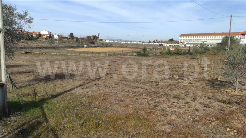 Terreno  com Agrícola Peso da Régua, Poiares e Canelas - 1226496 - 6