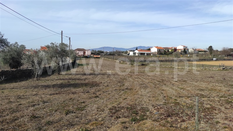 Terreno  com Agrícola Peso da Régua, Poiares e Canelas - 1226496 - 7