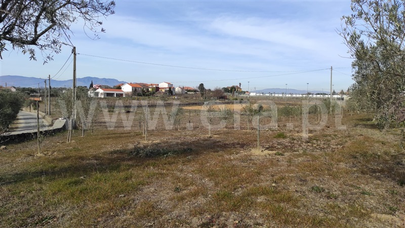 Terreno  com Agrícola Peso da Régua, Poiares e Canelas - 1226496 - 8