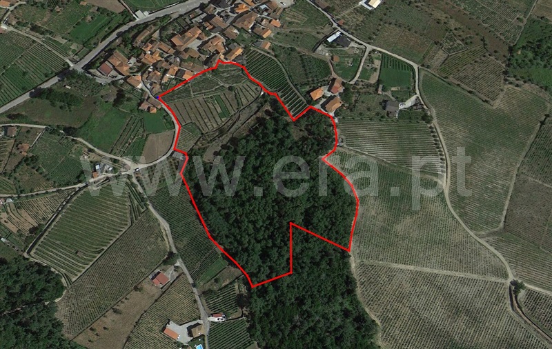 Terreno  com Agrícola Peso da Régua, Poiares e Canelas - 1312801 - 2