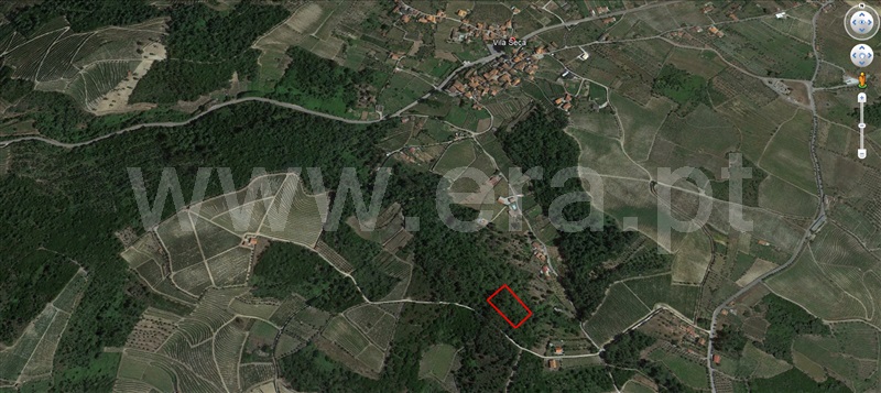 Terreno / Peso da Régua, Poiares e Canelas