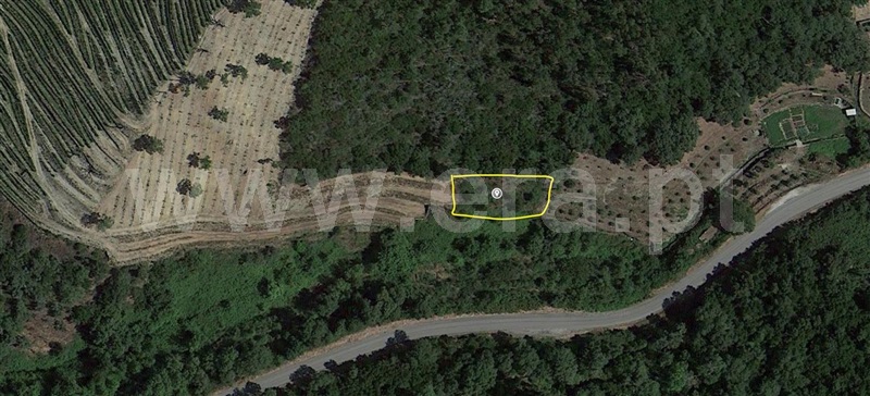 Terreno / Peso da Régua, Poiares e Canelas