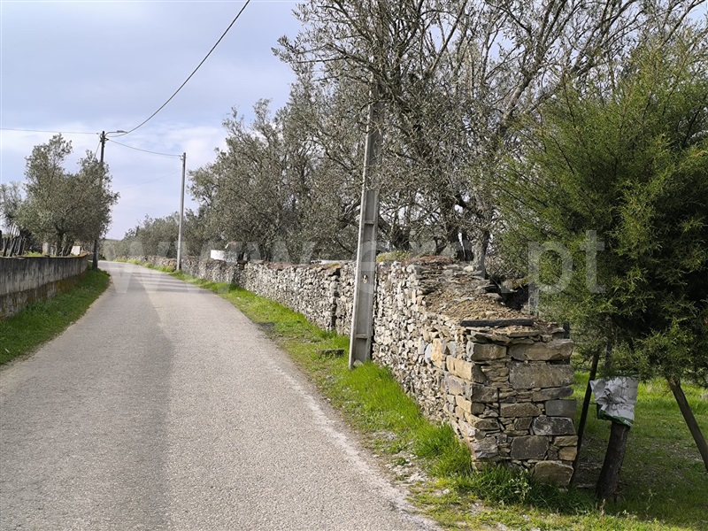 Terreno Rústico / Peso da Régua, Poiares e Canelas