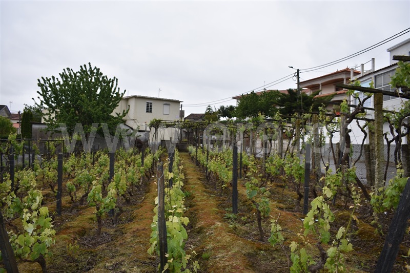 Terreno  Peso da Régua, Sedielos - 1134311 - 3