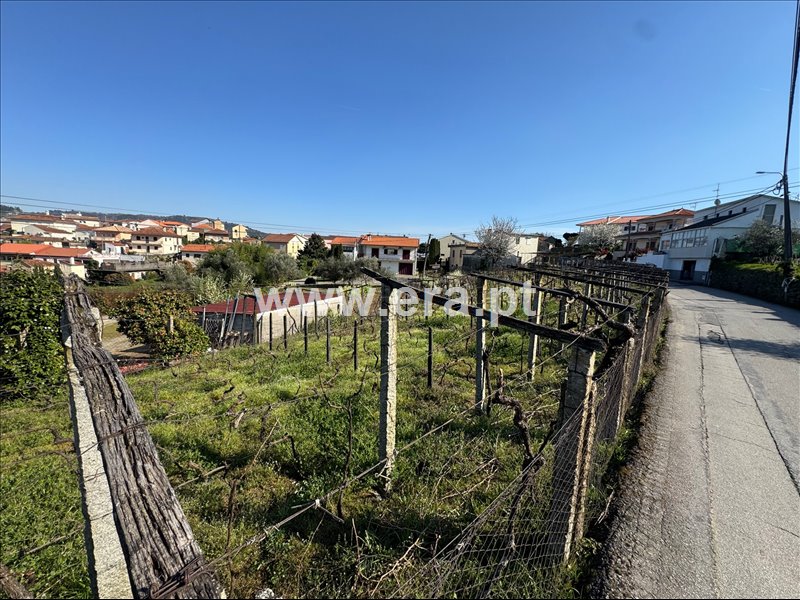 Terreno / Peso da Régua, Sedielos