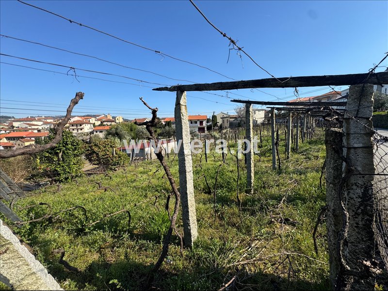 Terreno / Peso da Régua, Sedielos - Näkymä 4