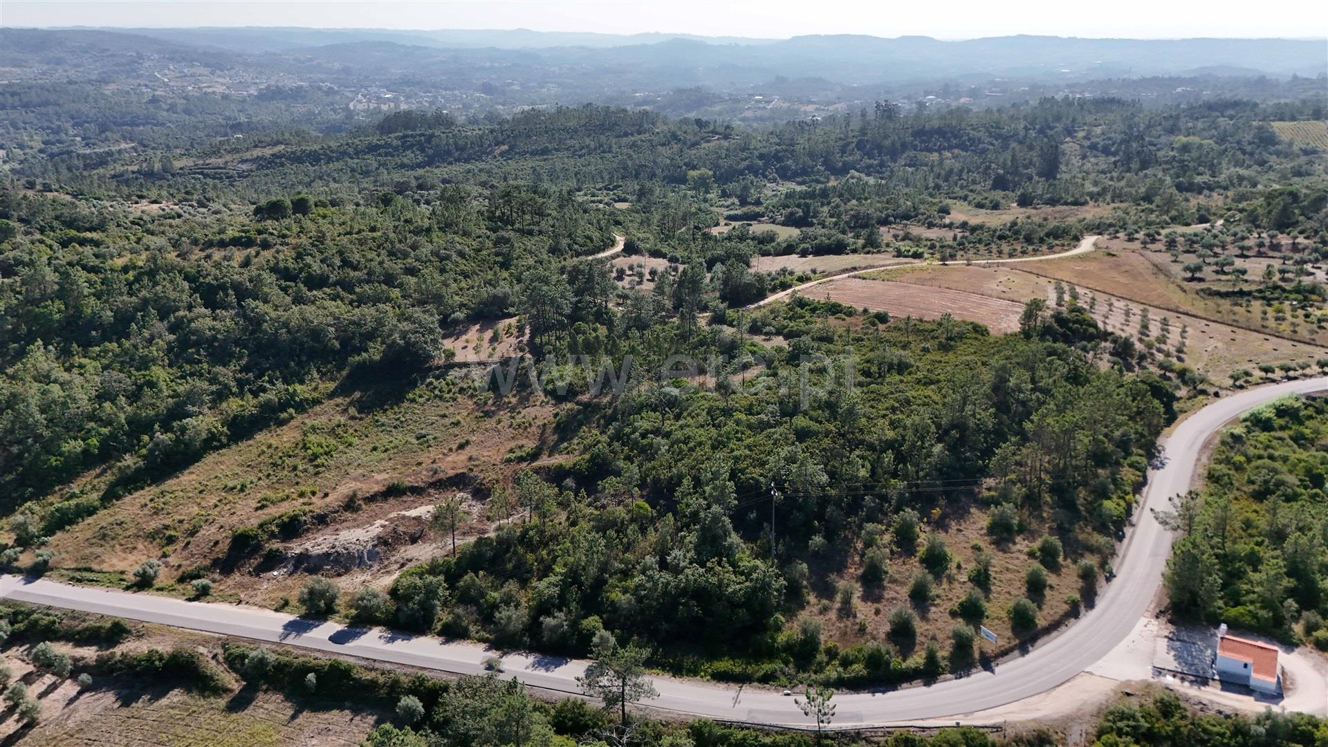 Land for sale in Pombal, Portugal — €56,000
