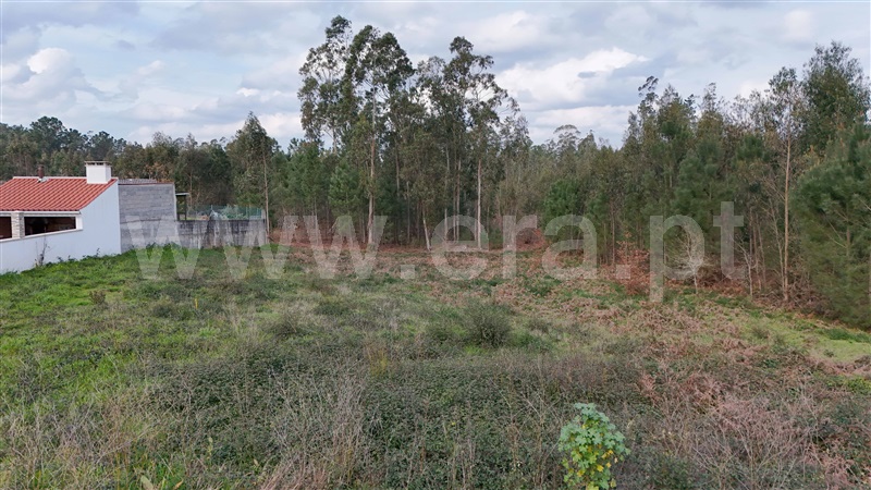 Terreno  Pombal, Almagreira - 1463108 - 4
