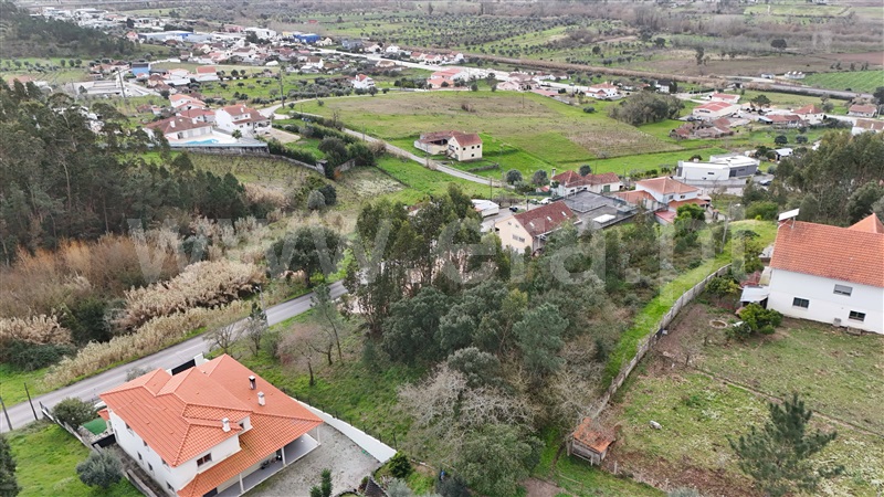 Terreno  Pombal, Pelariga - 1462249 - 3