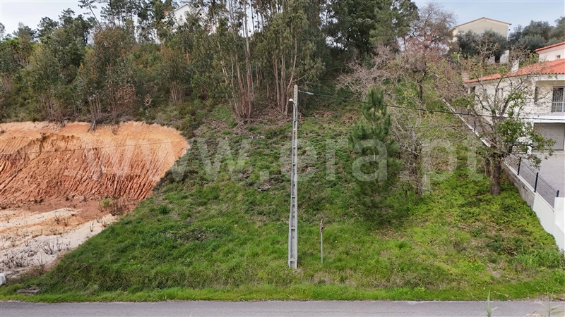 Terreno  Pombal, Pelariga - 1462249 - 4