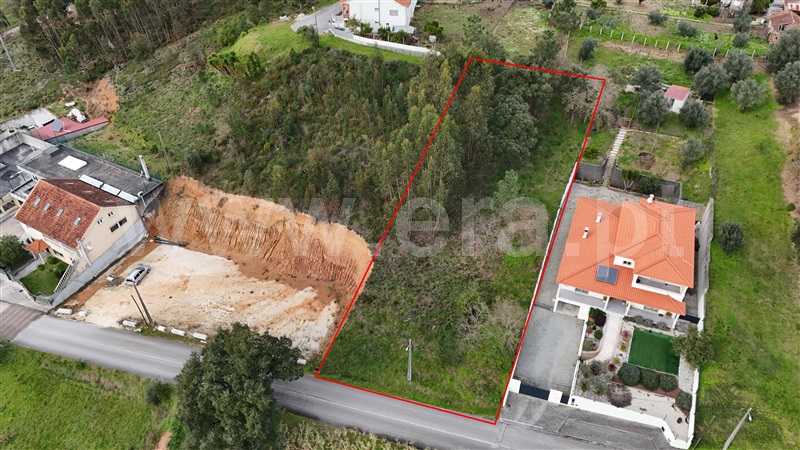 Terreno  Pombal, Pelariga - 1462249 - 6