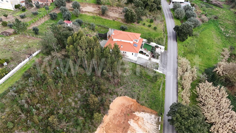 Terreno  Pombal, Pelariga - 1462249 - 7
