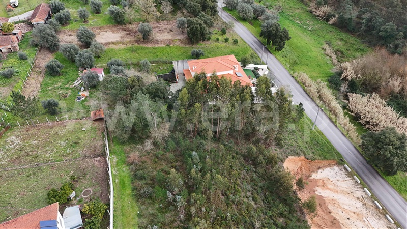 Terreno  Pombal, Pelariga - 1462249 - 8