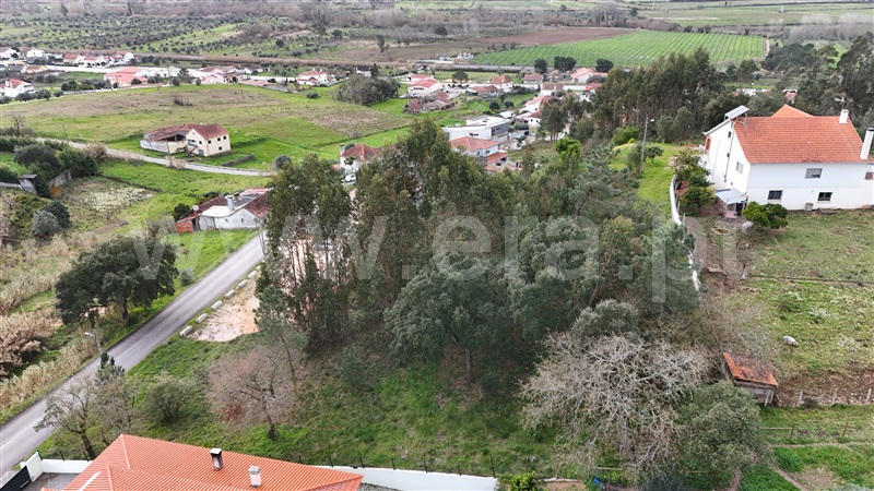 Terreno  Pombal, Pelariga - 1462249 - 9