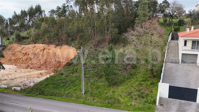 Terreno  Pombal, Pelariga - 1462249 - 10