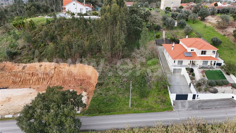 Terreno  Pombal, Pelariga - 1462249 - 11