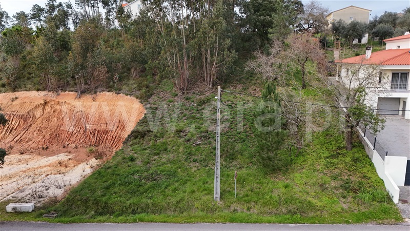 Terreno  Pombal, Pelariga - 1462249 - 13