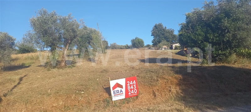 Terreno / Pombal, Santiago e São Simão de Litém e Albergaria dos Doze