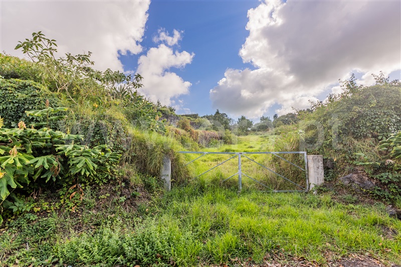 Terreno  Ponta Delgada, São Vicente Ferreira - 1496740 - 8