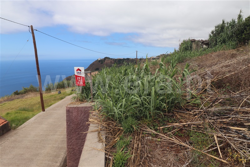Terreno / Ponta do Sol, Canhas