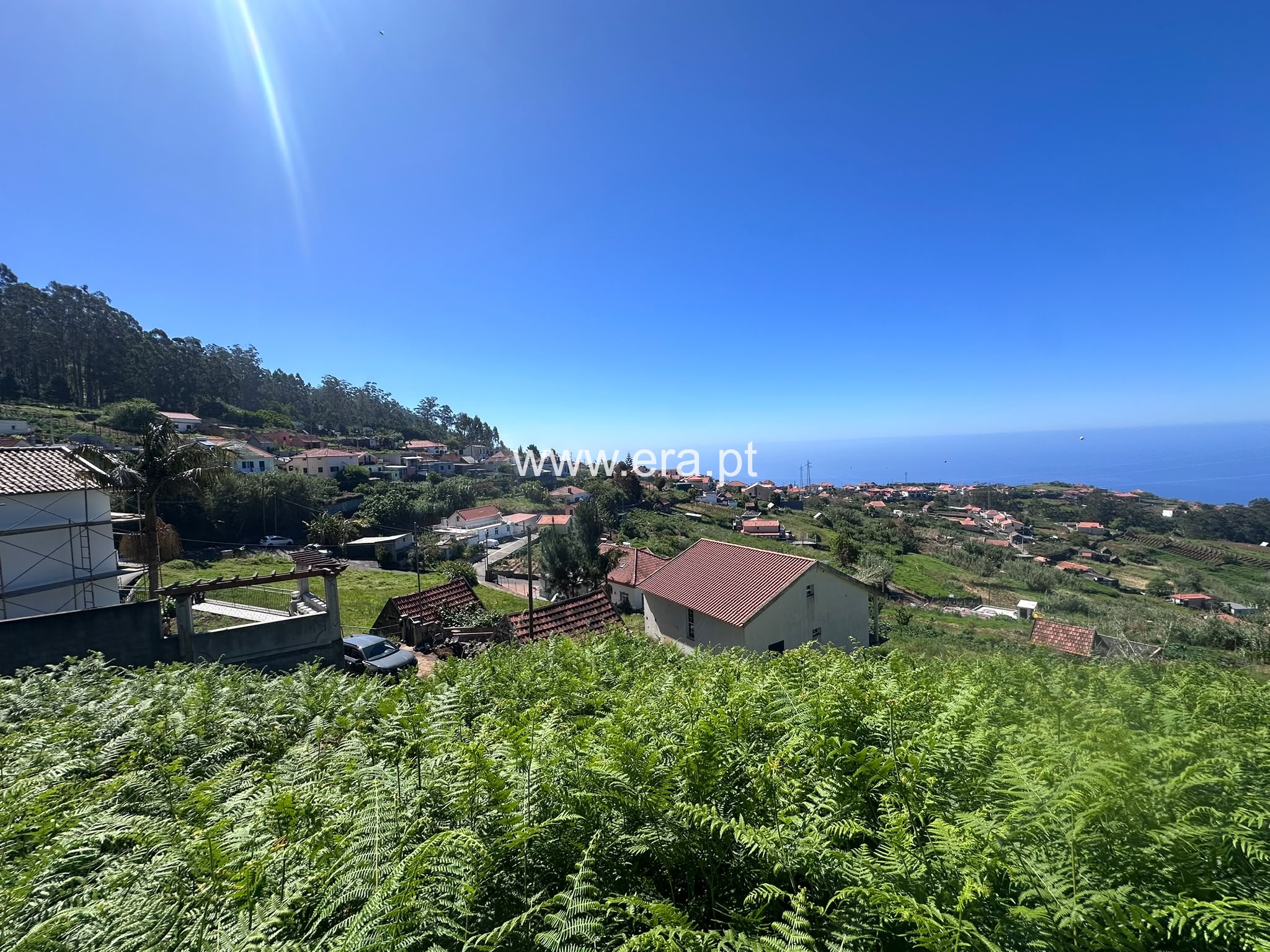Terreno / Ponta do Sol, Canhas