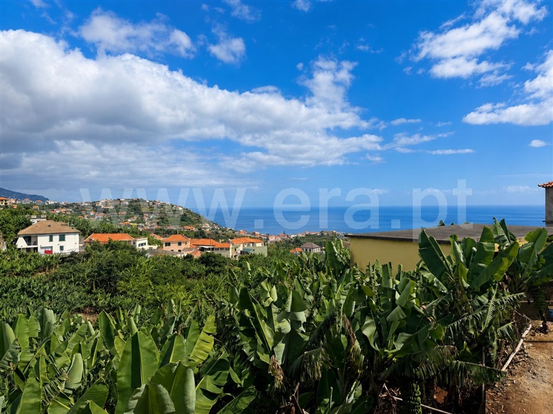 Terreno / Ponta do Sol, Ponta do Sol