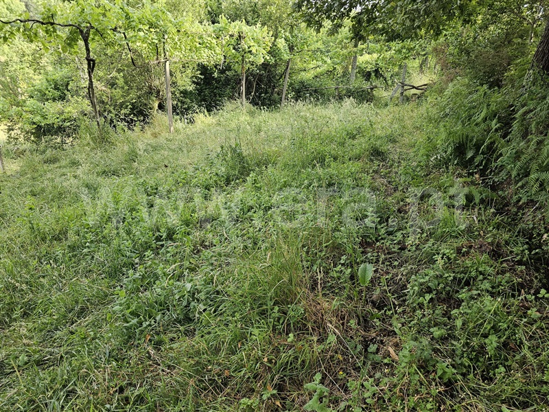 Terreno  Ponte da Barca, Azias - 1489591 - 3