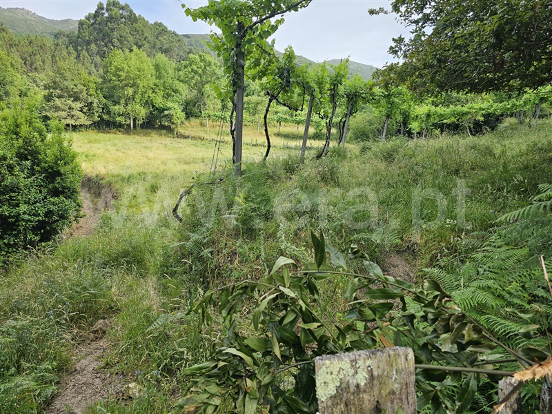 Terreno  Ponte da Barca, Azias - 1489591 - 4