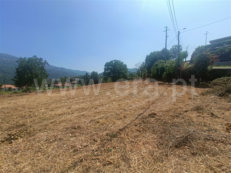Terreno  Ponte da Barca, Ponte da Barca, Vila Nova de Muía e Paço Vedro de Magalhães - 1426832 - 4