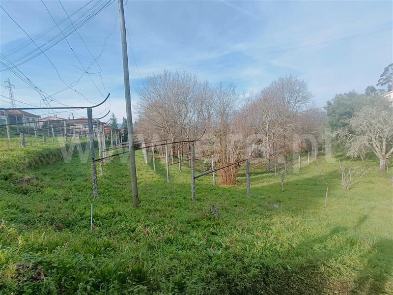 Terreno  Ponte da Barca, Ponte da Barca, Vila Nova de Muía e Paço Vedro de Magalhães - 1382689 - 3