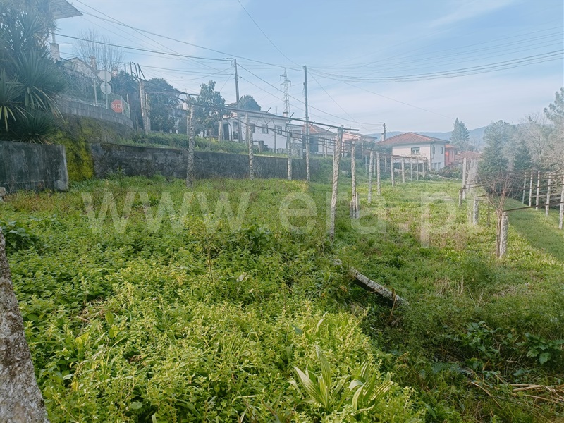 Terreno  Ponte da Barca, Ponte da Barca, Vila Nova de Muía e Paço Vedro de Magalhães - 1382689 - 6