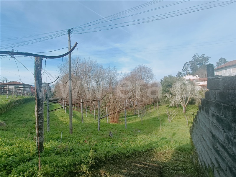 Terreno  Ponte da Barca, Ponte da Barca, Vila Nova de Muía e Paço Vedro de Magalhães - 1382689 - 7