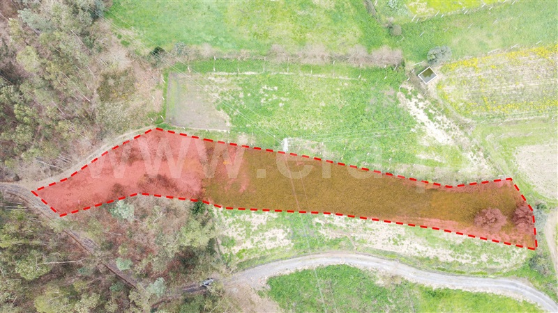 Terreno / Ponte de Lima, Anais