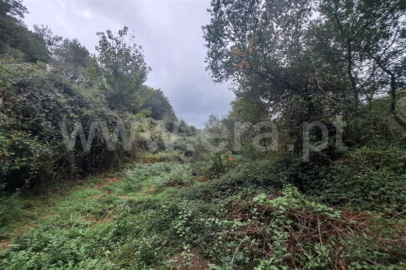 Terreno  Ponte de Lima, Barrio - 1444032 - 5