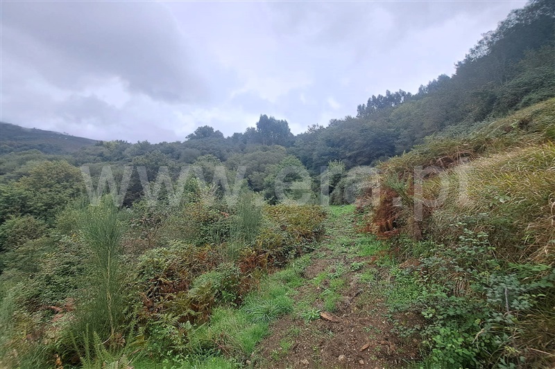 Terreno  Ponte de Lima, Barrio - 1444032 - 6