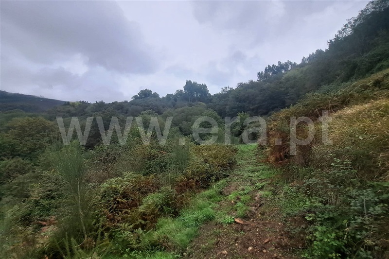 Terreno  Ponte de Lima, Barrio - 1444032 - 7