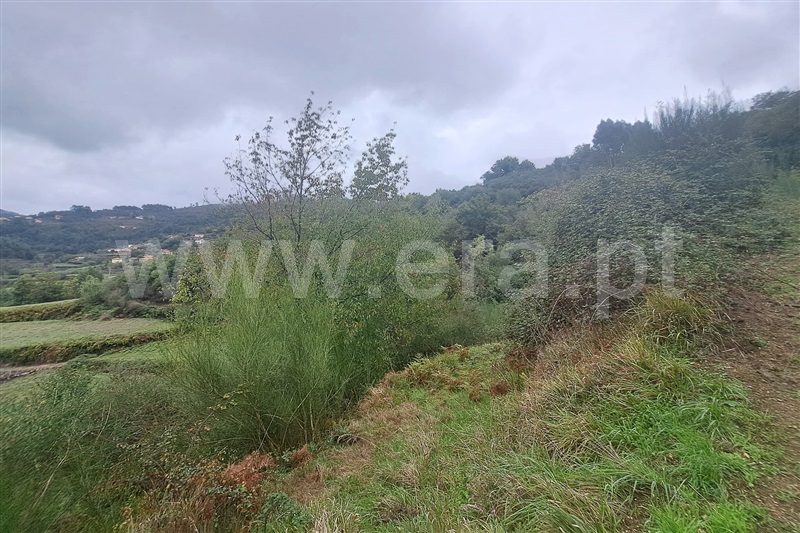 Terreno  Ponte de Lima, Barrio - 1444032 - 9