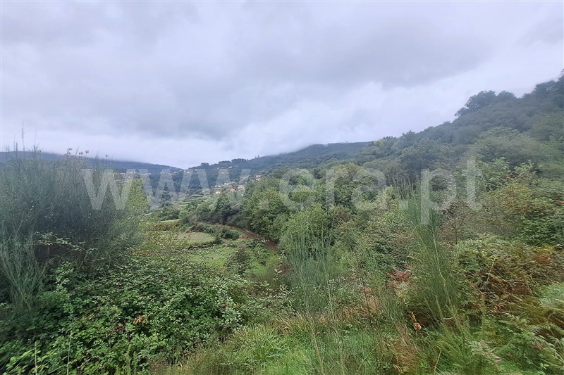 Terreno  Ponte de Lima, Barrio - 1444032 - 10