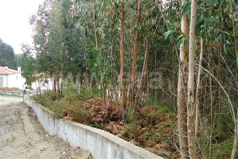 Terreno  Ponte de Lima, Brandara - 869605 - 2