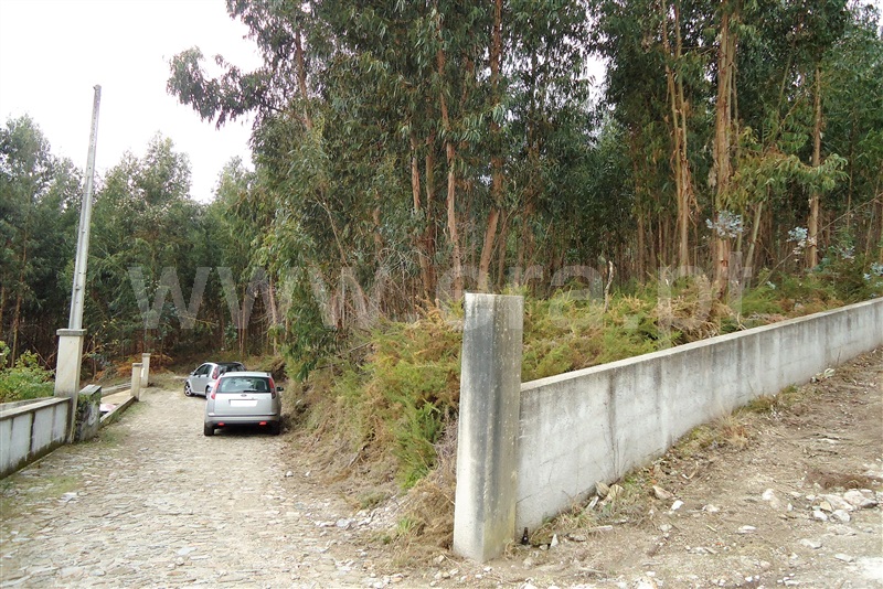 Terreno  Ponte de Lima, Brandara - 869605 - 3
