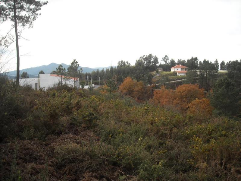 Terreno / Ponte de Lima, Brandara